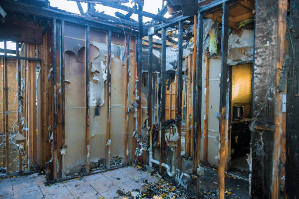 Professional Fire Damage Removal technician working in Sutton, NE